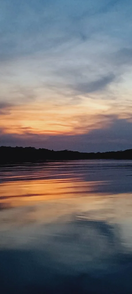 Golden sunset on Amazon river - Anna L