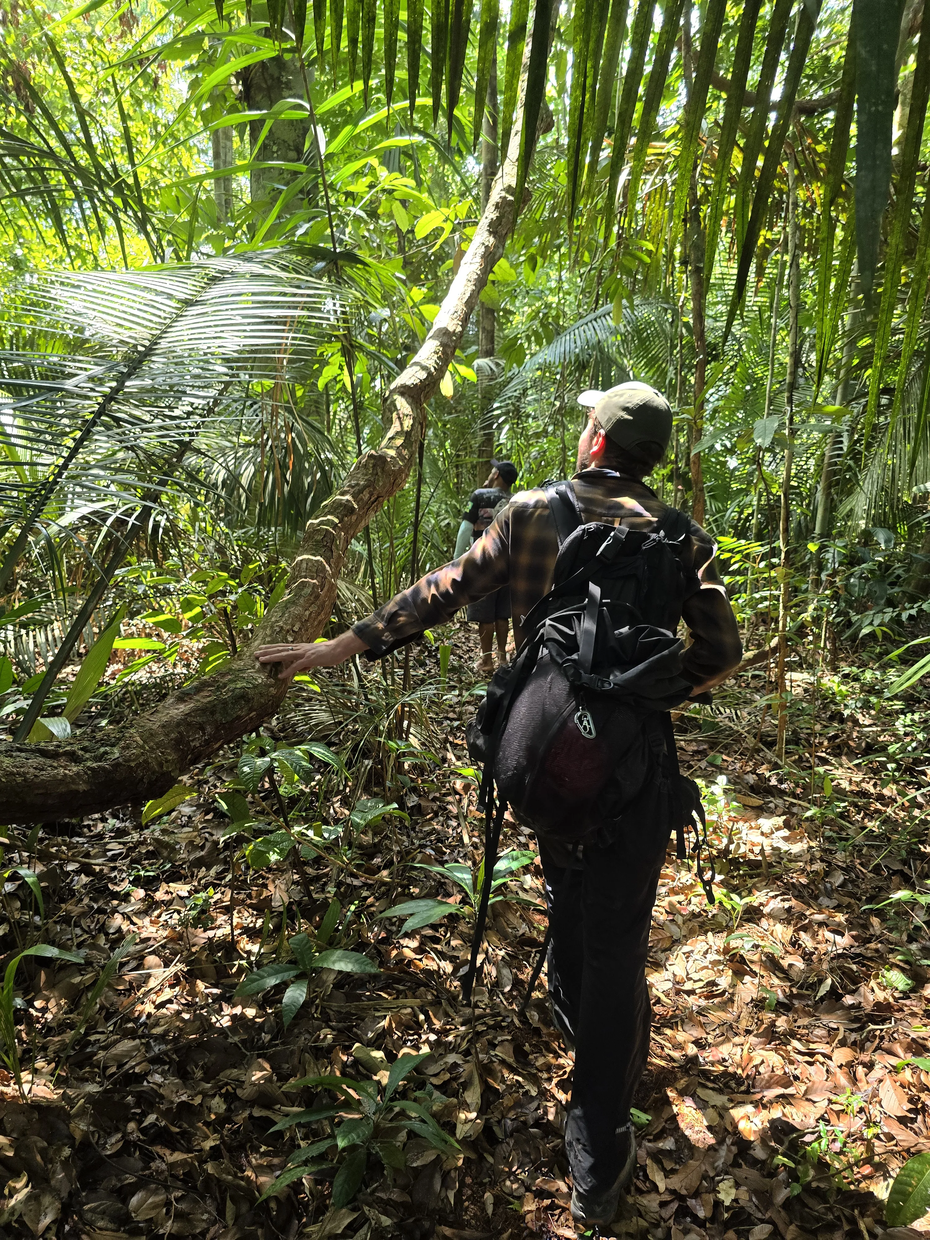 Jungle Trekking